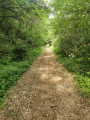 chemins