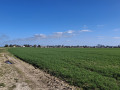 Chemkn du Val Froment