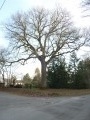 Un tour autour de Paucourt Un tour autour de Paucourt