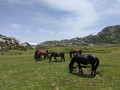 Monte Incudine en Corse du Sud