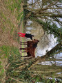Chemins de campagne sur Plouha Chemins de campagne sur Plouha
