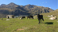 Des Étangs de Fontargente aux Étangs de Joclar en passant en Andorre