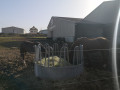 Chevaux
