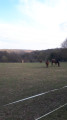 Chevaux