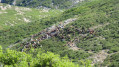 Ch&egrave;vres
