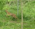 Boucle champètre près de l'Yerres