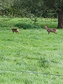 Le marais depuis Aire-sur-la-Lys