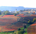 Boucle Rouge à Chiroubles