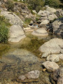 Boucle Di Ghjavingnolu par le plateau du Coscione à Aullène