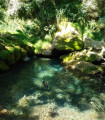 Chute de la Pissoire