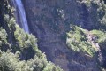Chute Chute