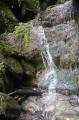 chute