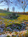Cimetière des Anglais Cimetière des Anglais