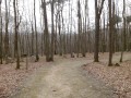 La Forêt de la Tête Ronde et le Bois de Saint-Aubin La Forêt de la Tête Ronde et le Bois de Saint-Aubin