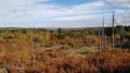 Cabtree Hill and Woorgreens Lake