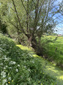 Hameaux et marais en bords de Seine et Risle Hameaux et marais en bords de Seine et Risle