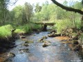 Pont planche