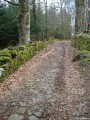 Chemin en pierre