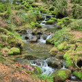 Ruisseau de la grande-Goutte