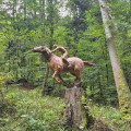 Sculpture située hors parcours sur l'itinéraire du chemin forestier qui mène au départ