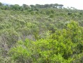 La Forêt Domaniale de la Colle du Rouët, le Trou de Gournié, l'Endre La Forêt Domaniale de la Colle du Rouët, le Trou de Gournié, l'Endre