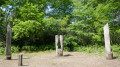 Clairière dans le bois du Burck