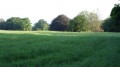 2 - Clairière de la ferme de Heurtebise