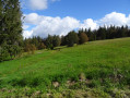 Clairière depuis la Chaume des Champis