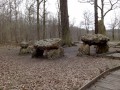 Clairière du Chêne des Missions