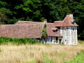 clairière en forêt