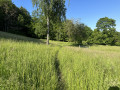 Sentier de la Chapelle de Linthal