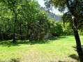 Clairière