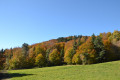 Clairière