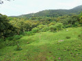 Clairi&egrave;re