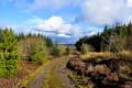 Cleughearn Forestry Walk, Whitelee Windfarm