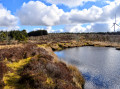 Cleughearn Ponds