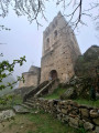 clocher dans la brume