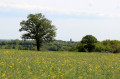 Clocher de Montipouret
