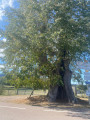 Saint-Just-en-Chevalet - Laprugne