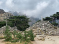 Col de Bavella