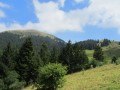 Vue sur le col de freu