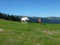 Col de Joux Col de Joux