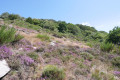 Col de l'Airole ou de Douch