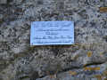 col de la gnole!