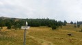 Col du Haag