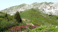 Col de la Sure