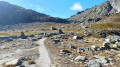 Col de Lucendro