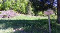 Col de Montessuit