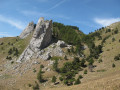 Col de plate Contier Col de plate Contier