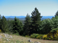 Col des Fosses